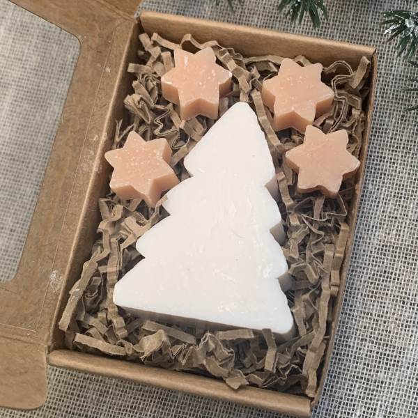 Kleines Weihnachtsgeschenk Geschenkbox Kraft Geldgeschenk Seifen Tannenbaum Sterne Miniseifen Weihnachtsfeier Gastgeschenk Wichtelgeschenk personalisiert