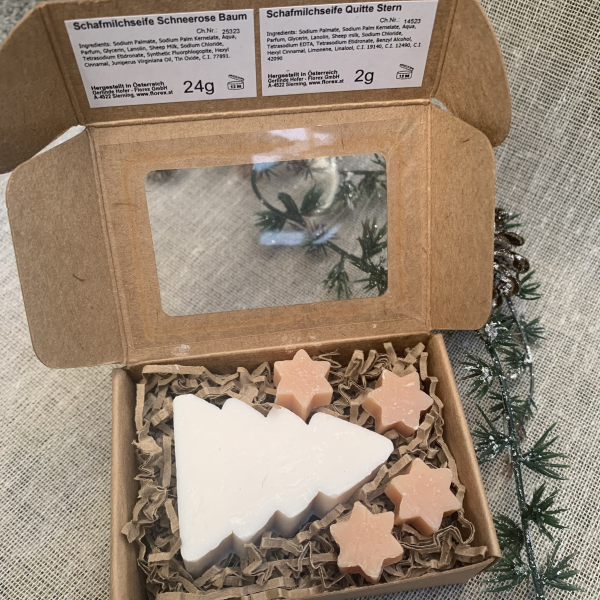 Kleines Weihnachtsgeschenk Geschenkbox Kraft Geldgeschenk Seifen Tannenbaum Sterne Miniseifen Weihnachtsfeier Gastgeschenk Wichtelgeschenk personalisiert